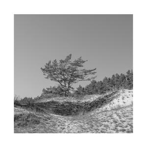 舌头添高潮A级毛片
